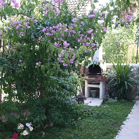 Branka Apartment Split