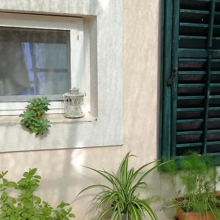 Apartment Branka