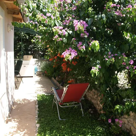 Apartment Branka