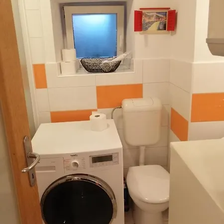 Apartment Branka