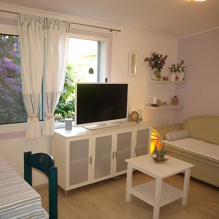 Apartment Branka *