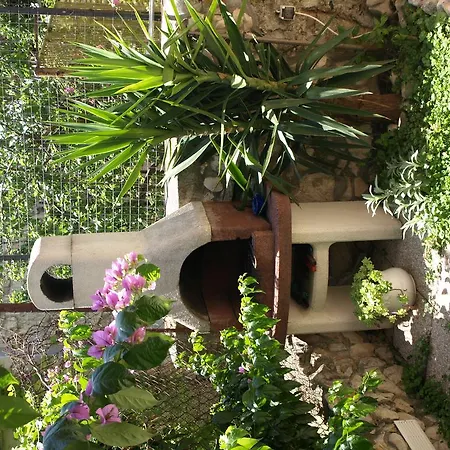 Branka Apartment