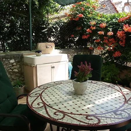 Apartment Branka *