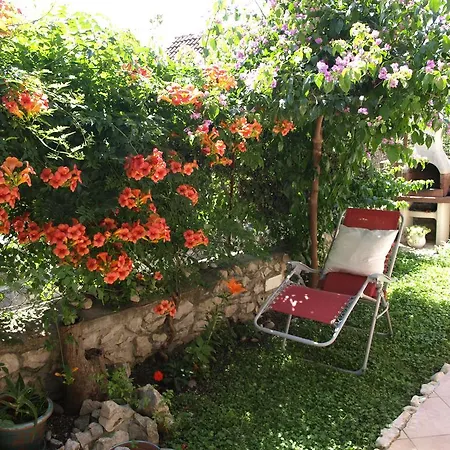 Apartment Branka