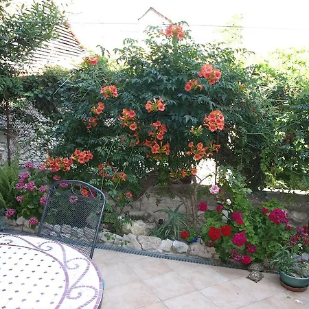 Apartment Branka